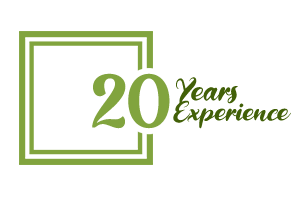 Experience